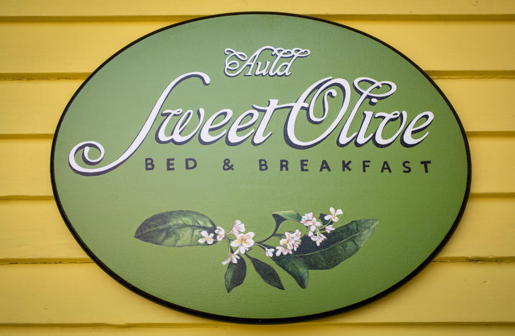 Auld Sweet Olive Bed And Breakfast Nueva Orleans Exterior foto